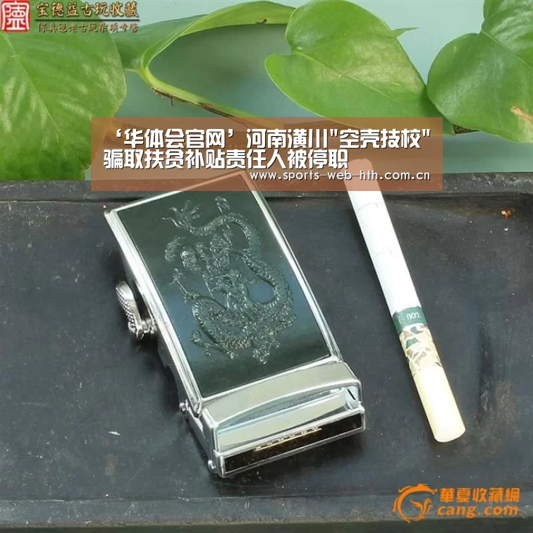 ‘华体会官网’河南潢川空壳技校骗取扶贫补贴责任人被停职(图2) 体育赛事
