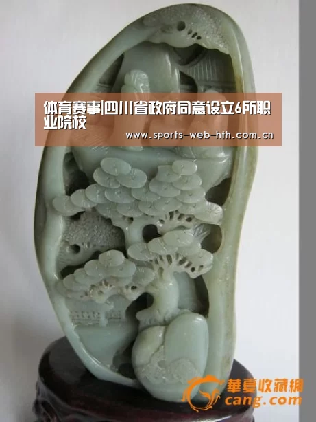 体育赛事|四川省政府同意设立6所职业院校(图1)